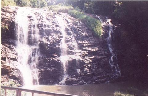 abbifalls at coooooooorg